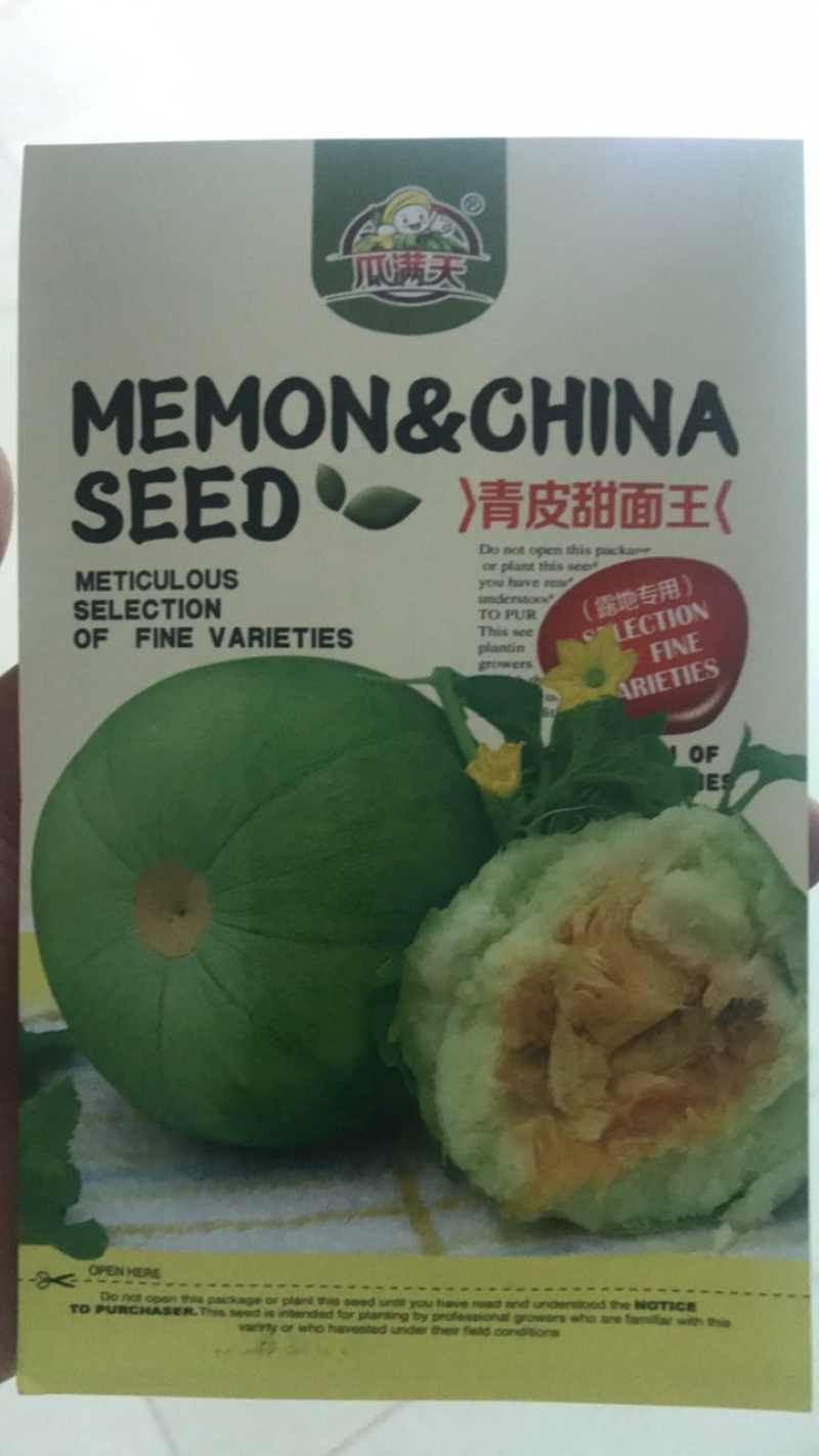 甜瓜种子组合各类好吃的甜瓜种子
