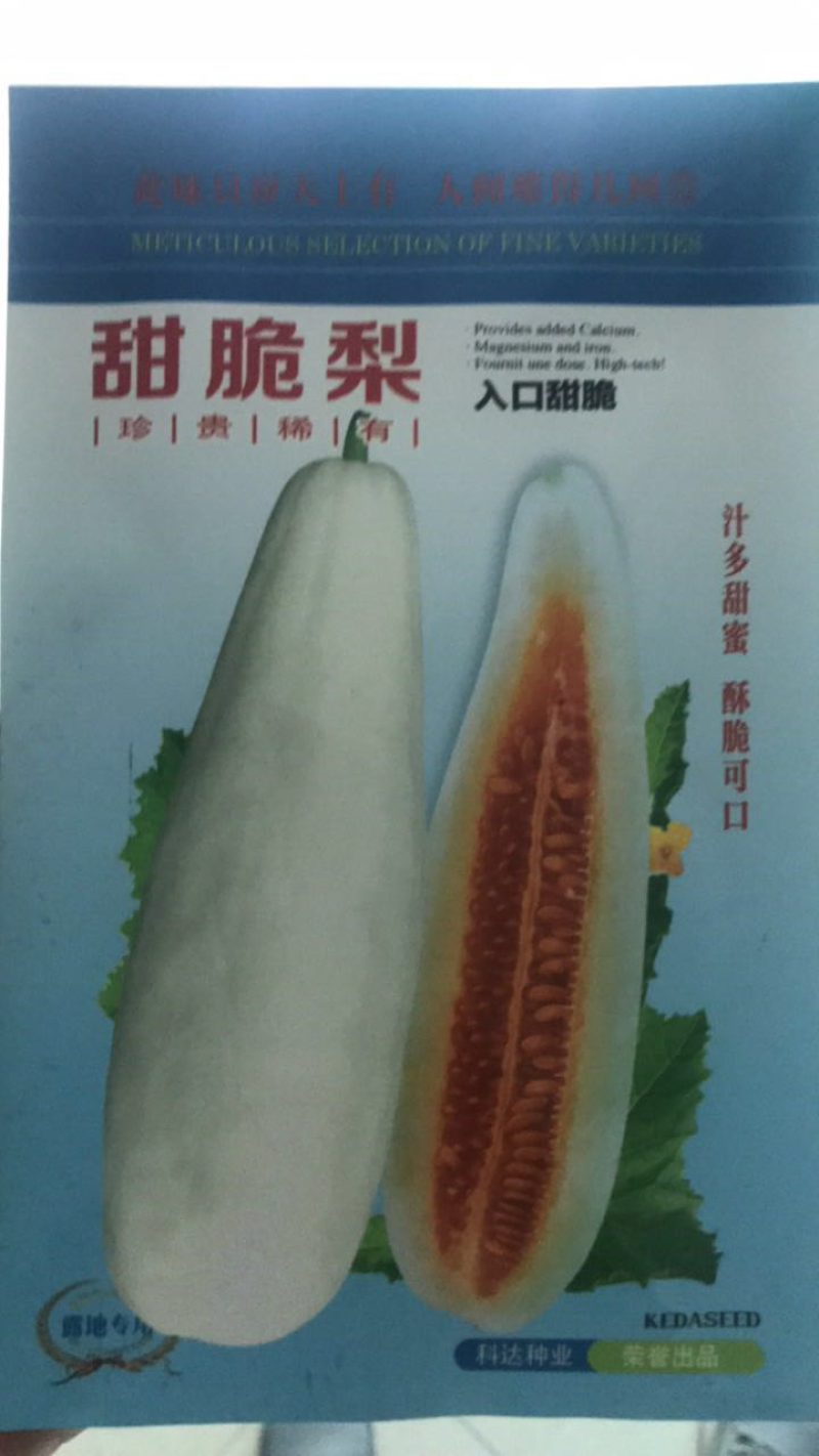 甜瓜种子组合各类好吃的甜瓜种子