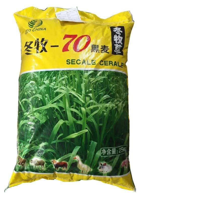 进口牧草种子南方多年生黑麦草种籽北方耐寒紫花苜蓿牧草四季