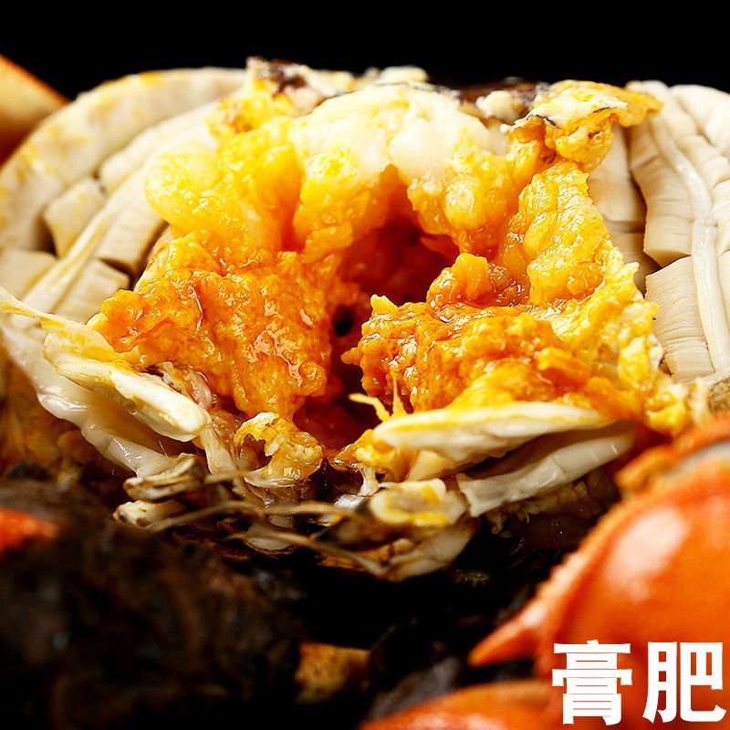【109元=16只全母】包邮现货江苏大闸蟹鲜活礼盒可代发