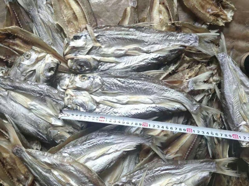 开背翘嘴白鱼干干货开片鱼干大量有货