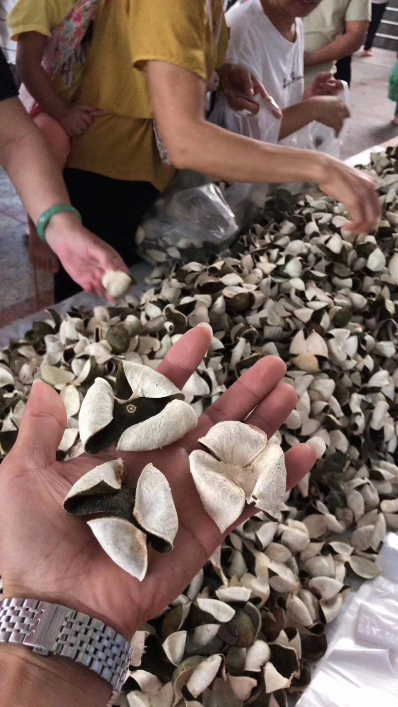 青皮陈皮三花青皮新货干货当年新鲜上市纯干货