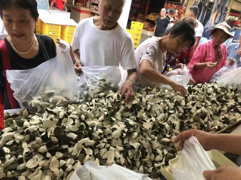 青皮陈皮三花青皮新货干货当年新鲜上市纯干货