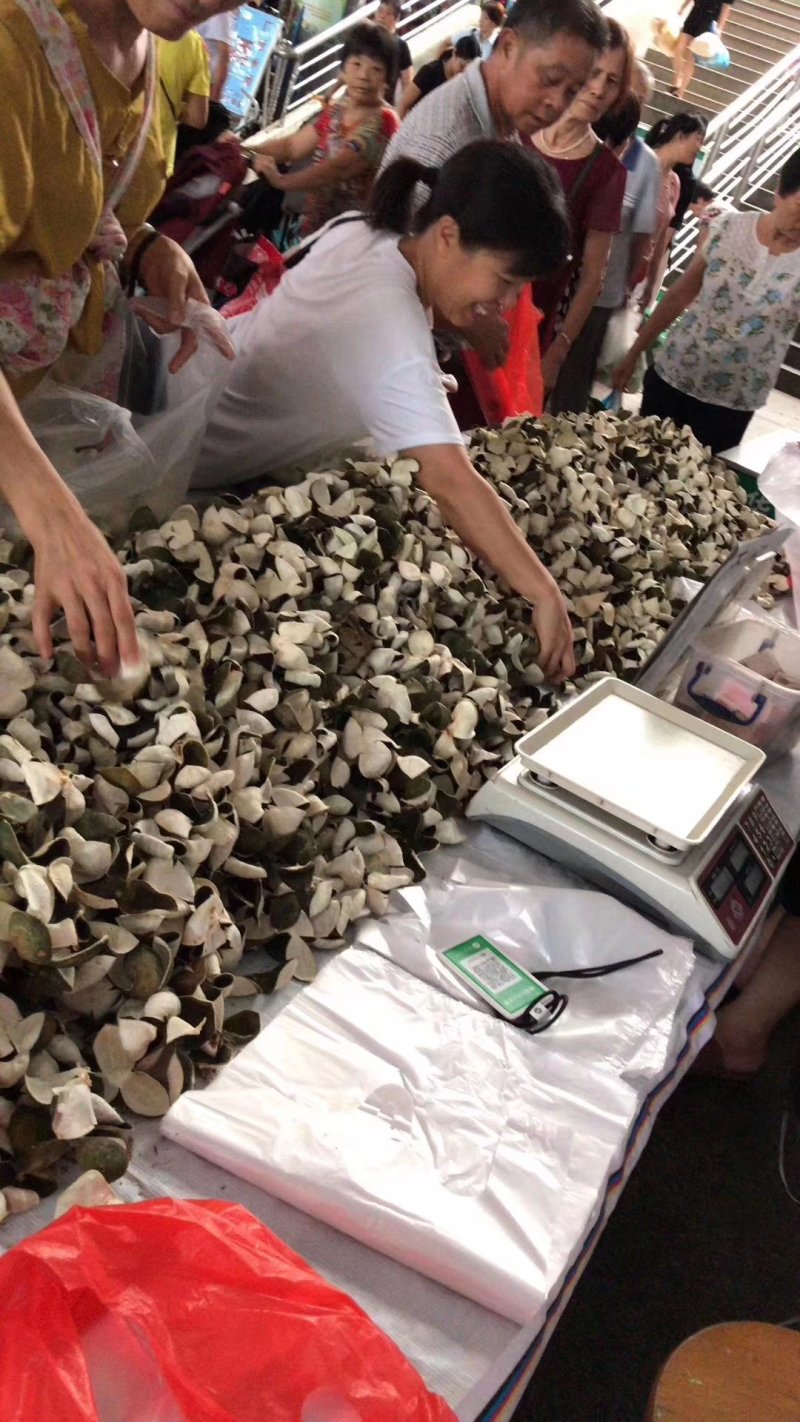 青皮陈皮三花青皮新货干货当年新鲜上市纯干货