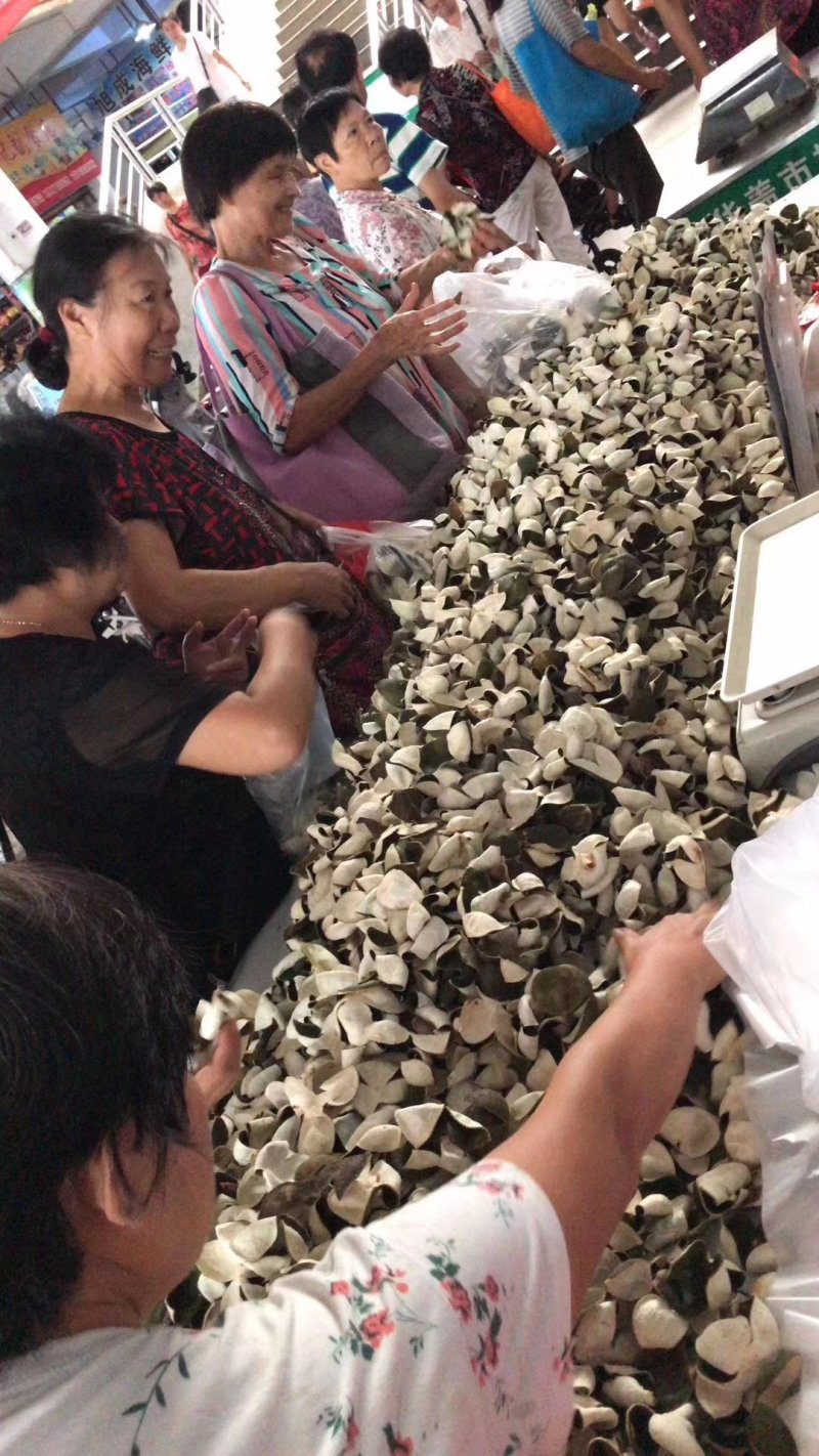 青皮陈皮三花青皮新货干货当年新鲜上市纯干货