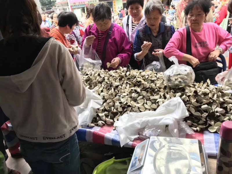 青皮陈皮三花青皮新货干货当年新鲜上市纯干货
