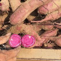 紫罗兰，纯沙土地种植，此红薯🍠囗感好，外形美观，表面