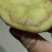 青薯9号土豆红皮黄心4两以上通货现货大量有货