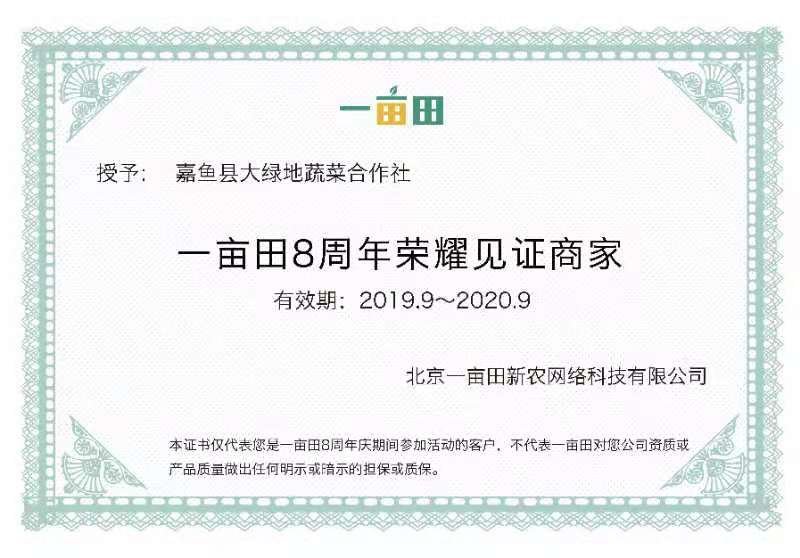 精品白菜货源足质量好服务全国客商