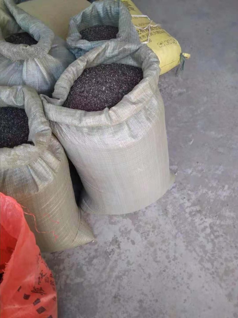 杜梨种子杜梨籽产地直发真正带刺杜梨种子饱满