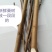 桑枝野生新鲜一段段的桑树枝条树杆棍子