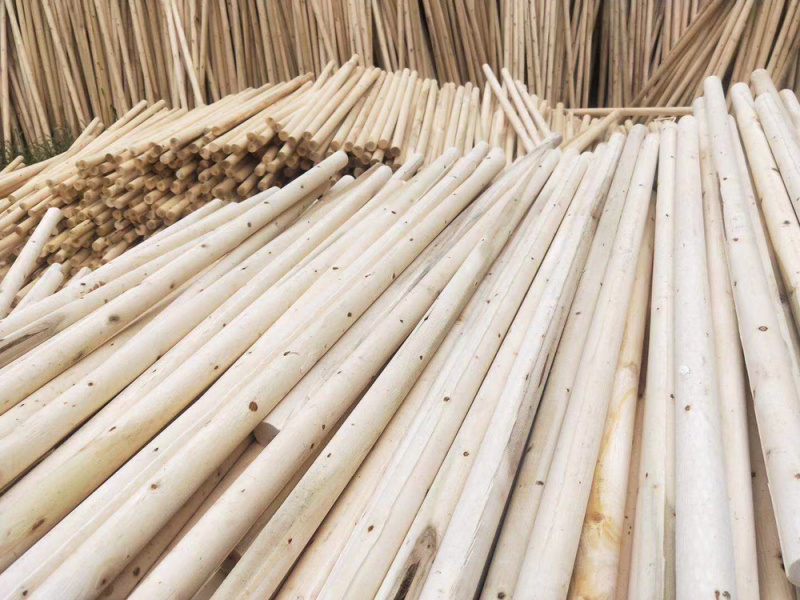 园林绿化支撑杆杉木杆松木杆