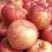 ［红富士苹果🍎］大量上市中→膜袋纸袋精品果