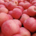 ［红富士苹果🍎］大量上市中→膜袋纸袋精品果