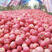 ［红富士苹果🍎］大量上市中→膜袋纸袋精品果