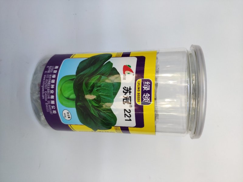 苏冠221黑叶矮脚苏州青青菜种籽