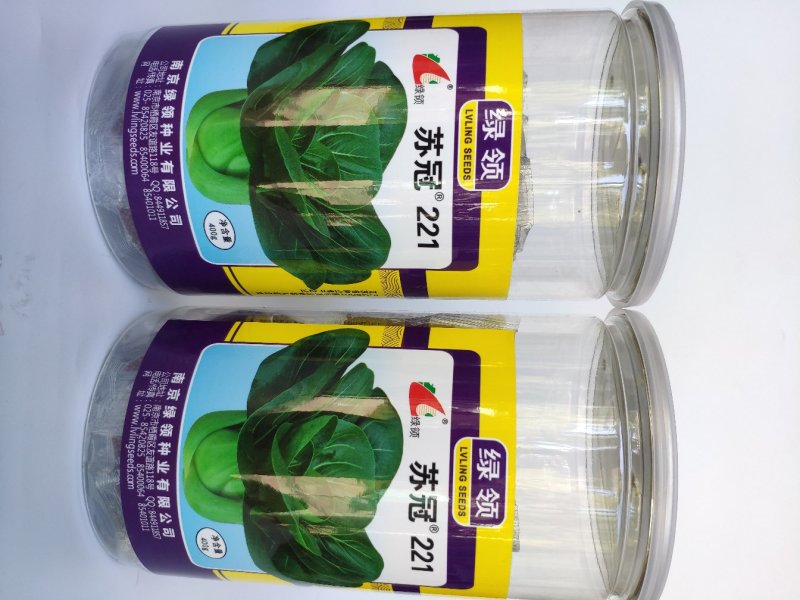 苏冠221黑叶矮脚苏州青青菜种籽