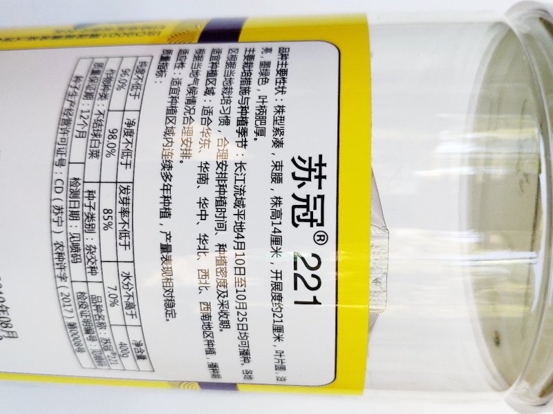 苏冠221黑叶矮脚苏州青青菜种籽