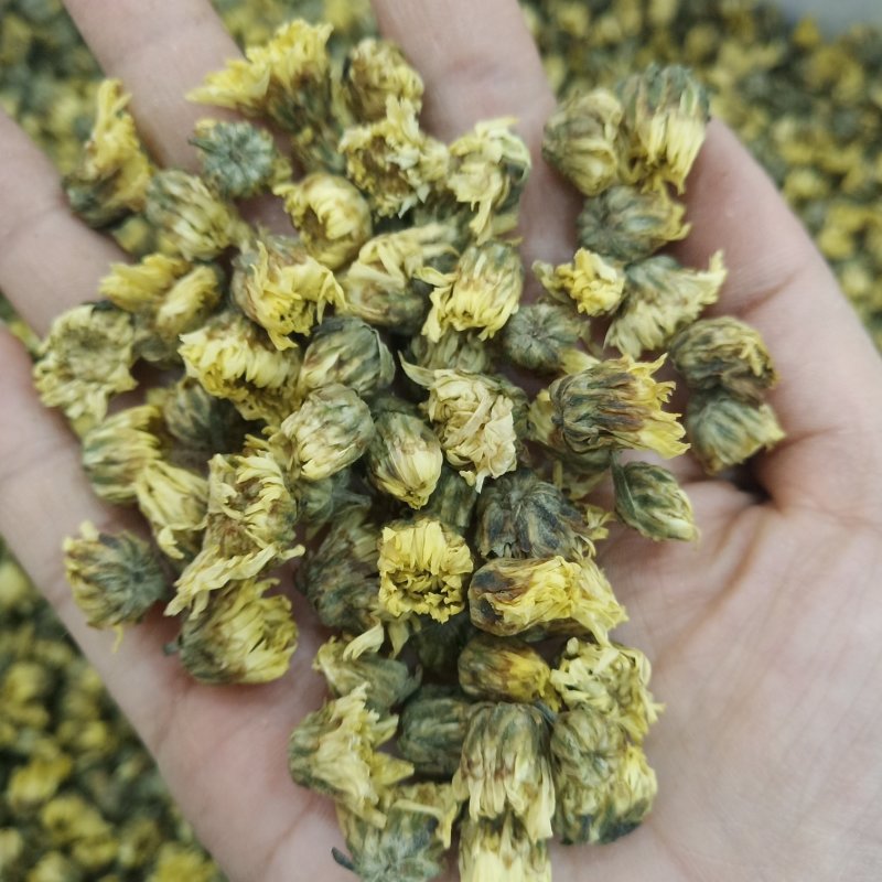 批发·胎菊菊花茶胎菊花贡菊花草茶菊花茶泡水500克