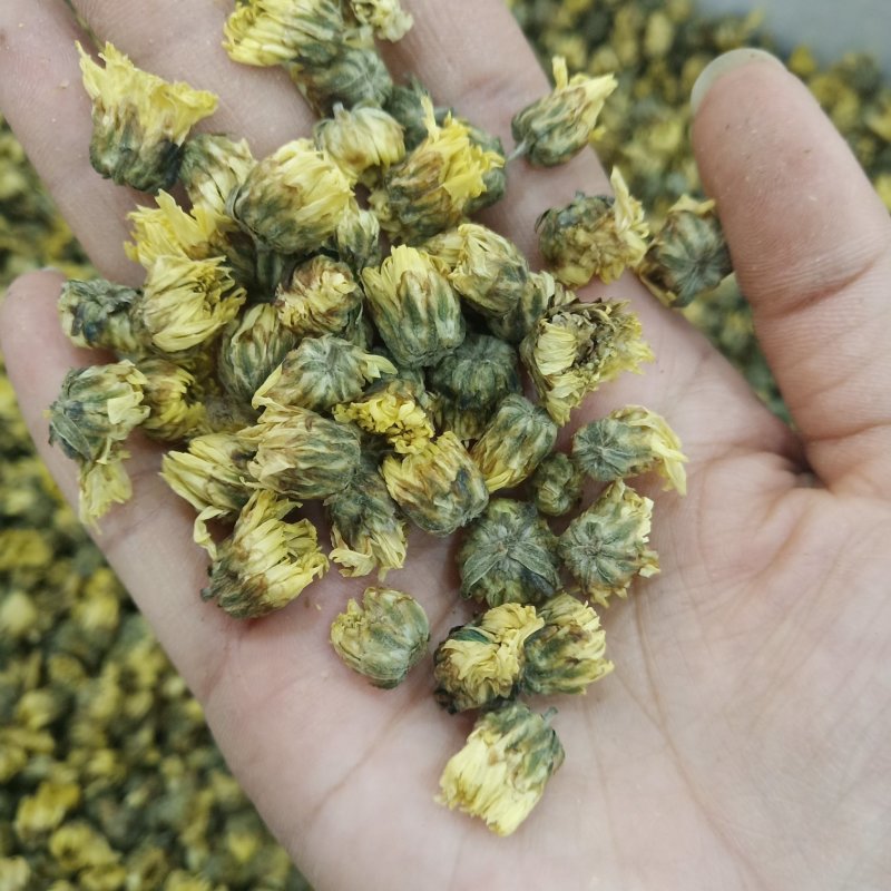 批发·胎菊菊花茶胎菊花贡菊花草茶菊花茶泡水500克