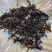 正山小种特级花果香松香味125g/盒4盒500g