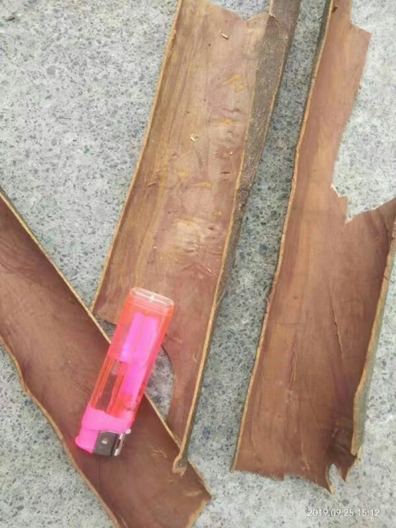 桂皮
