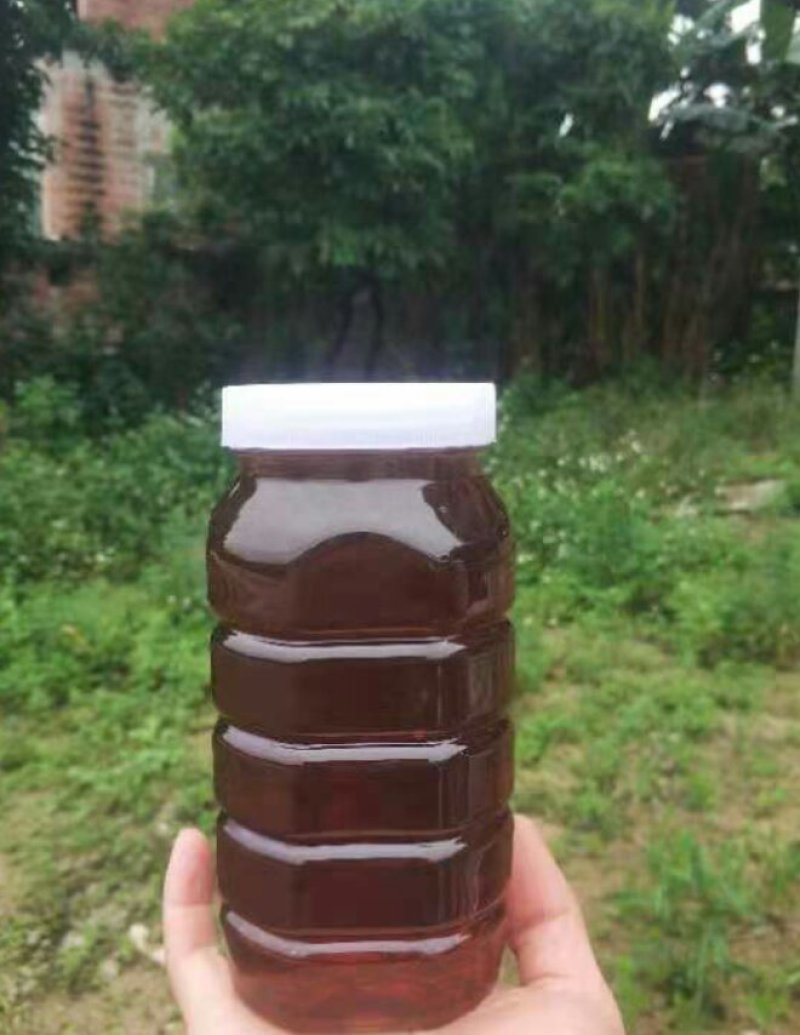 正宗农家龙眼蜜