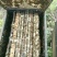 正宗农家龙眼蜜