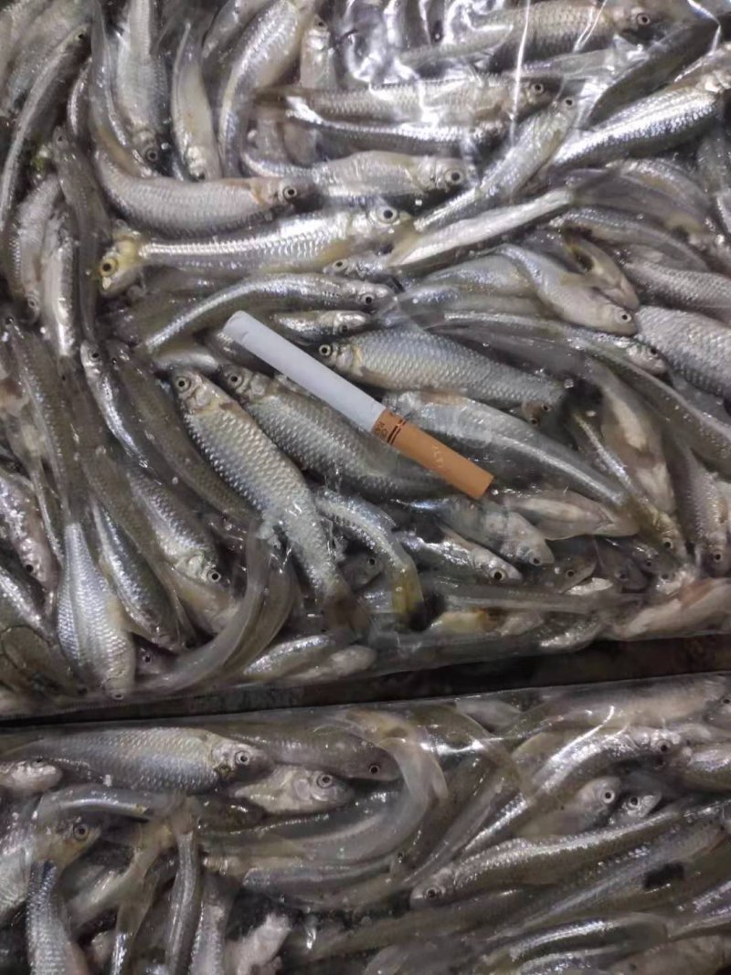 麦穗