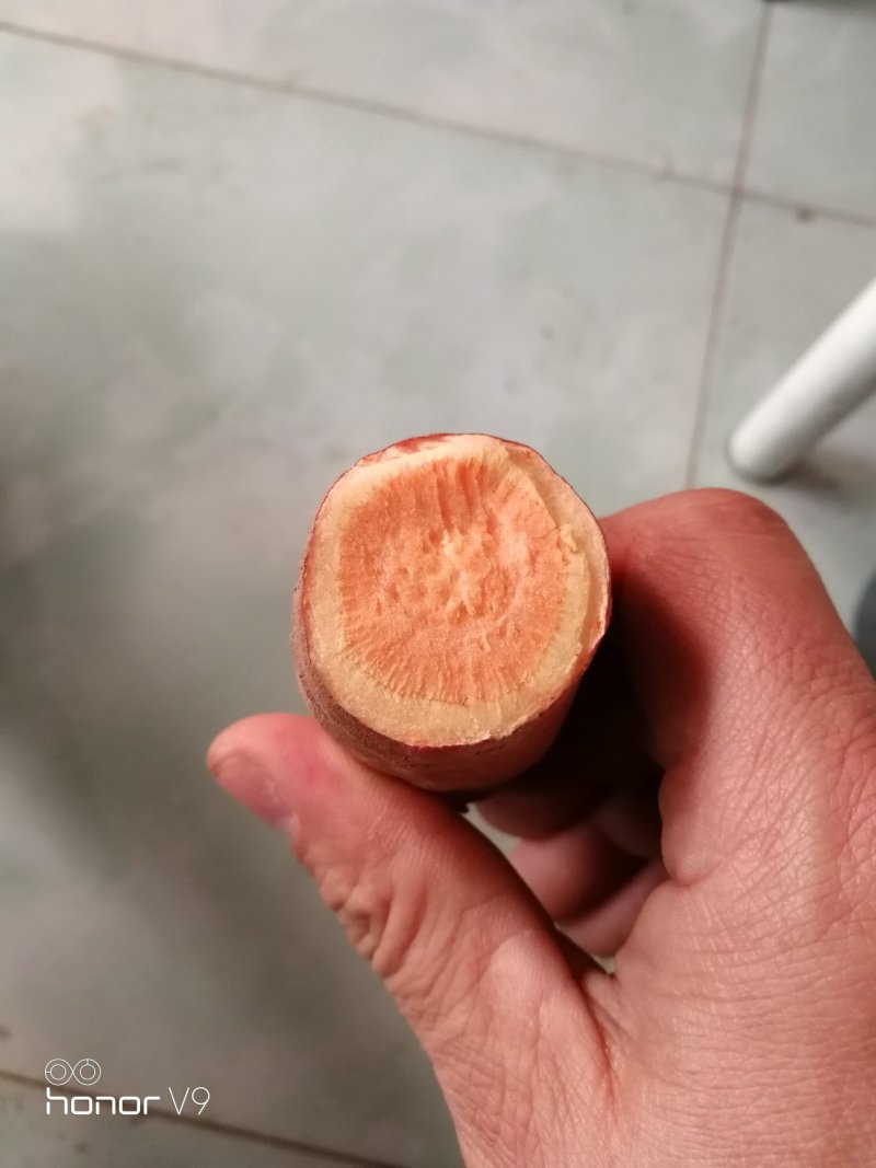 西瓜红商品薯精捡包装红皮红心没有丝