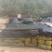 过30筛香玲薄皮核桃质优价廉量大优惠货源充足欢迎来电