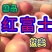 【山东红富士苹果批发】🍎膜袋果纸袋果，大量现货供应中