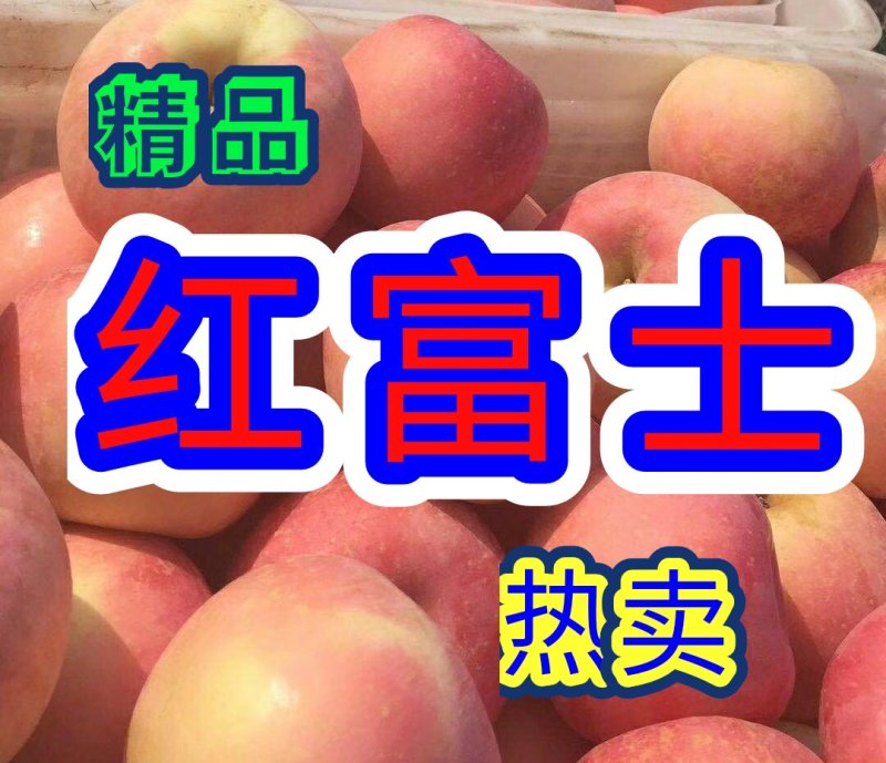 【山东红富士苹果批发】🍎膜袋果纸袋果，大量现货供应中