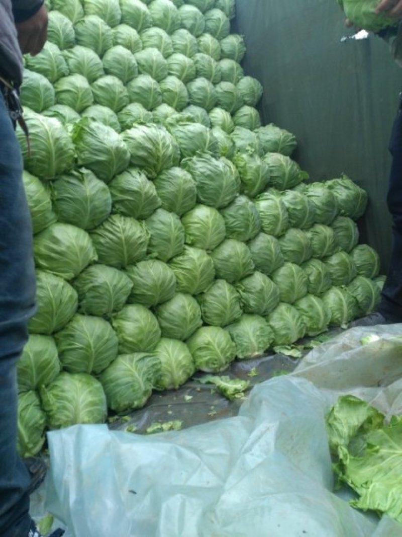 甘兰落价了，