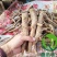 白芍白芍芽白芍种苗基地直销价格便宜成活率高