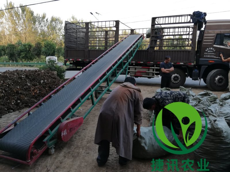 白芍白芍芽白芍种苗基地直销价格便宜成活率高