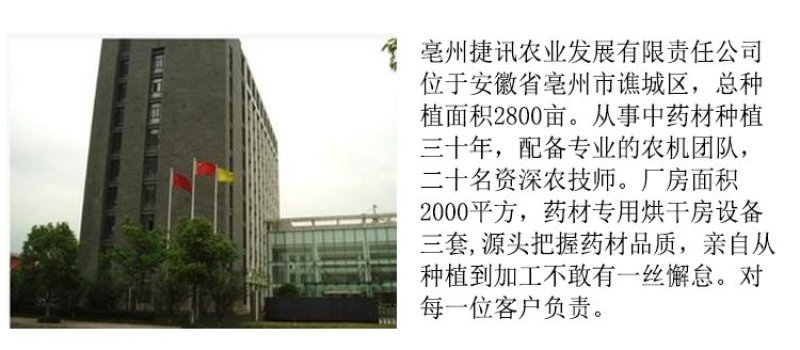 党参片中药材片中药方党参打粉中药店铺中草药馆