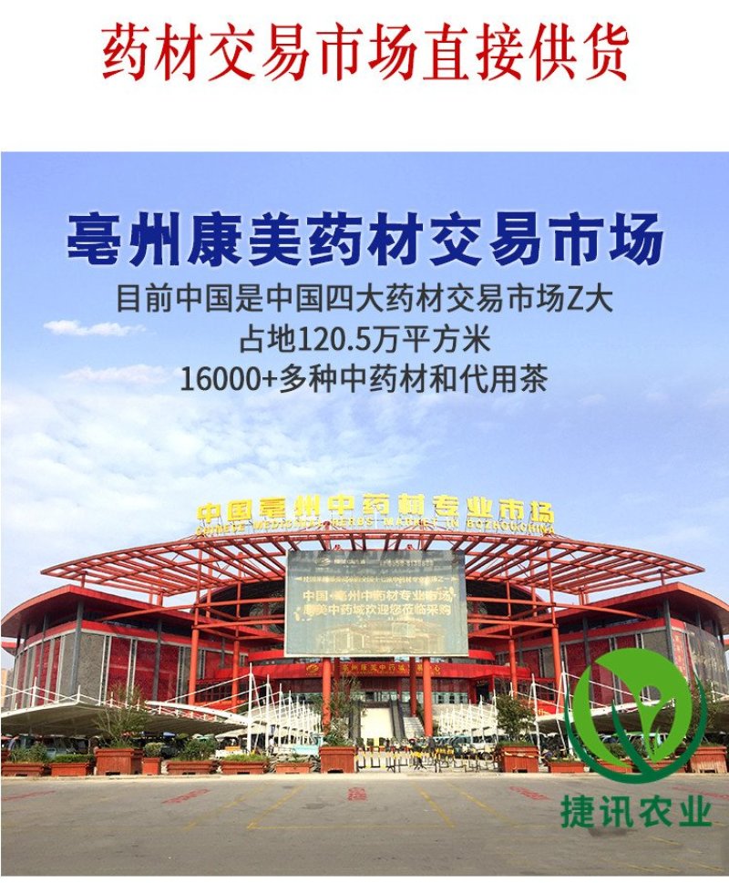 党参片中药材片中药方党参打粉中药店铺中草药馆