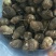 8520芋头，毛芋头，大球，中球，小球大量现货，货源充足