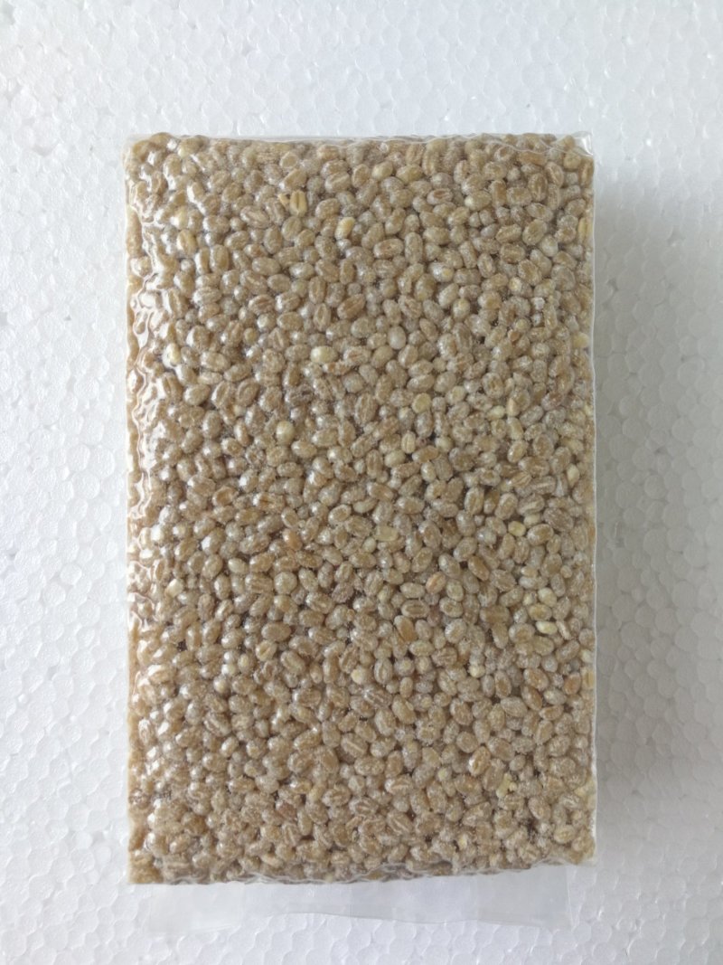 【年货节】2020新粥米小麦仁一箱6斤真空包装现货