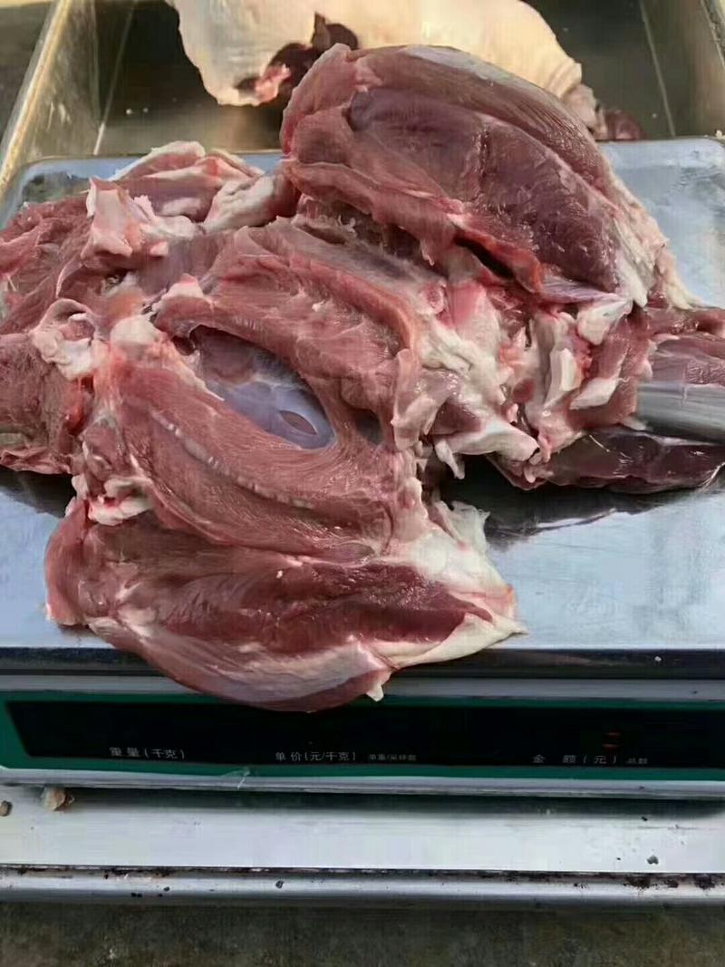 去骨羊后腿肉，炖锅爆炒合适。