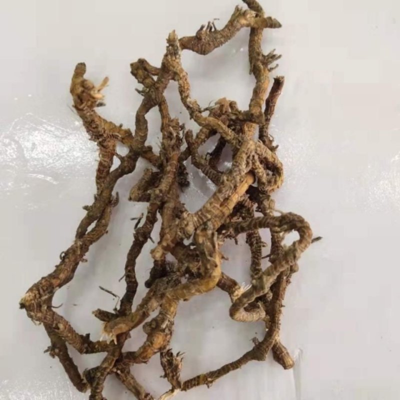 蜘蛛抱蛋，产地贵州道地药材，质优价实，品质保证，药典标准