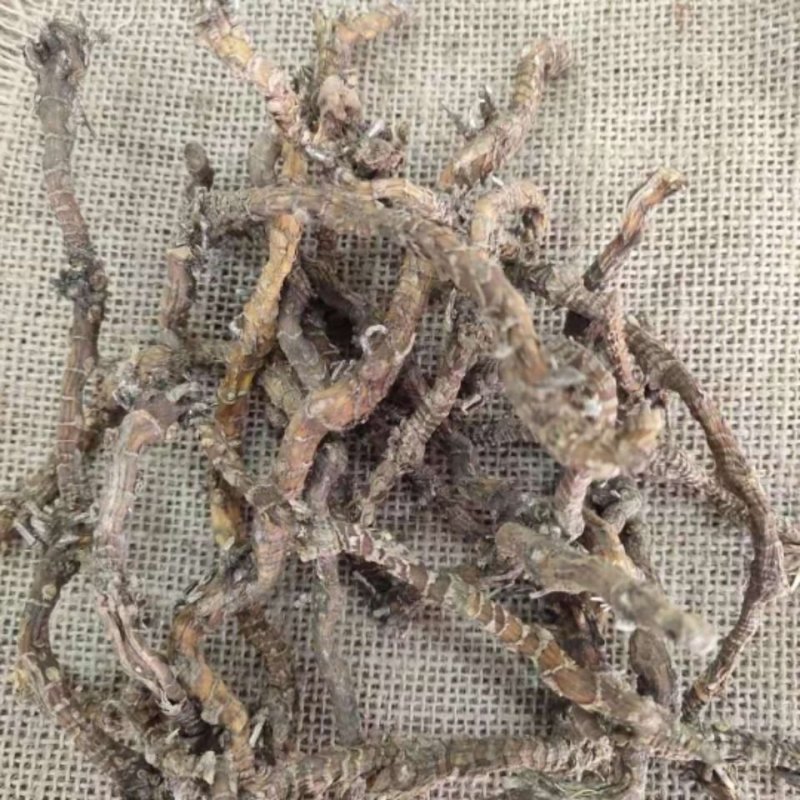 蜘蛛抱蛋，产地贵州道地药材，质优价实，品质保证，药典标准