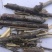 水柏枝,道地药材,质优价实,品质保证,药典标准一公斤起批