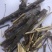 水柏枝,道地药材,质优价实,品质保证,药典标准一公斤起批