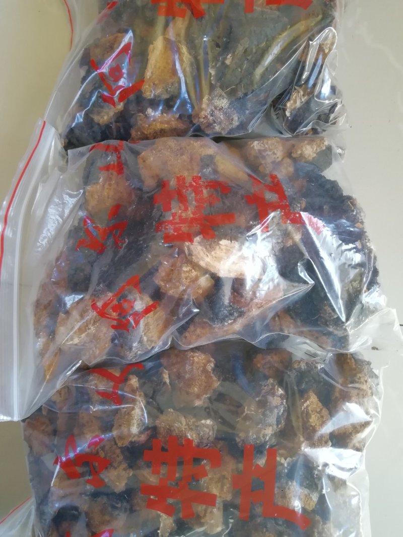 桦树茸，松树桑黄，白灵芝，蘑菇常年出售