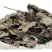 牡荆叶,道地药材，质优价实，品质保证，药典标准一公斤起批