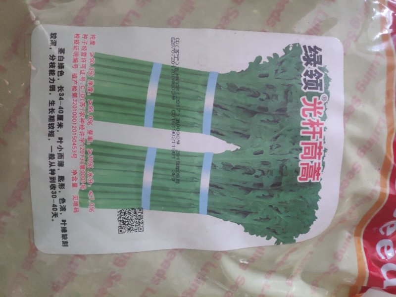 绿领光杆茼蒿种子茎白绿叶小而薄分枝能力强