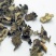 茅莓,道地药材,质优价实,品质保证,药典标准一公斤起批