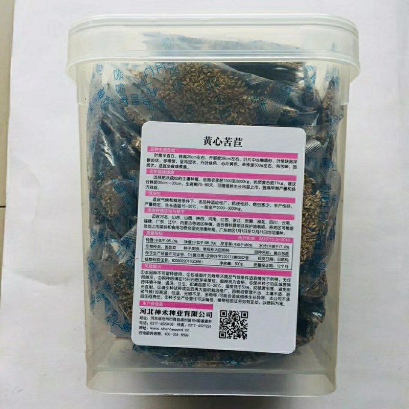 黄心苦苣种子外叶绿色心片黄色
